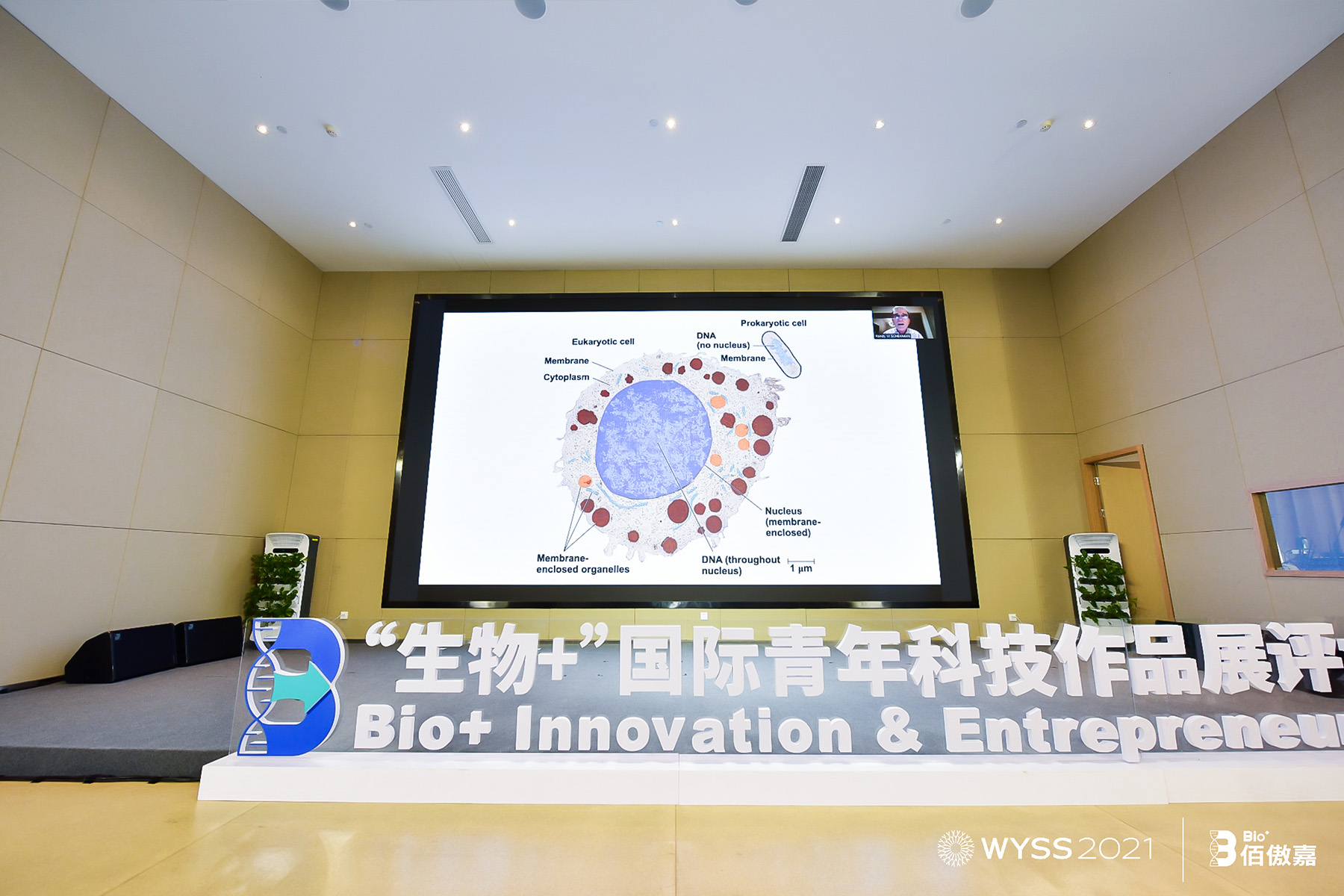 �Zؐ������W���t�W�������m��-�x�����������v